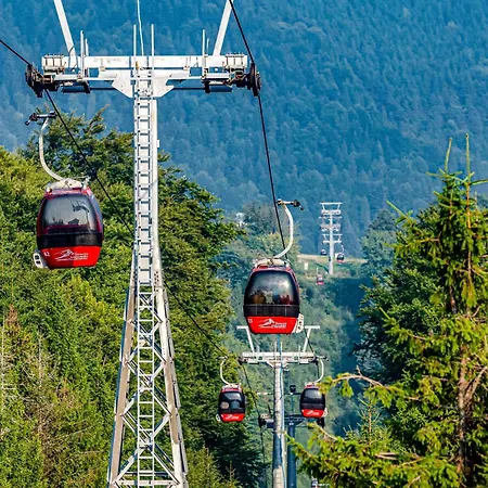 Osrodek Sanatoryjno-wczasowy Hajduczek